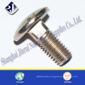 Golden Zinc Plated Carriage Bolt (DIN603)